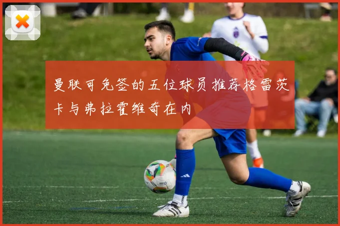 曼联可免签的五位球员推荐格雷茨卡与弗拉霍维奇在内